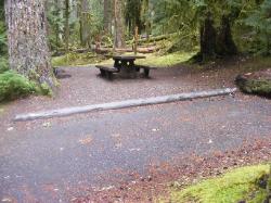 Sol Duc Loop B Site 56