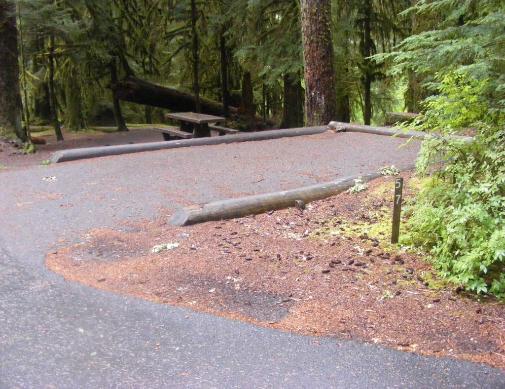 Sol Duc Loop B Site 57