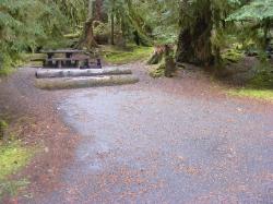 Sol Duc Loop B Site 58