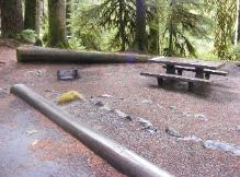 Sol Duc Loop B Site 59
