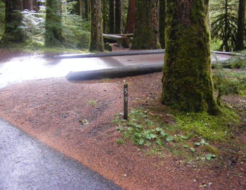 Sol Duc Loop B Site 59