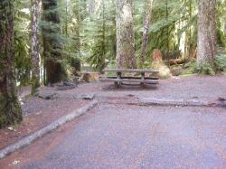 Sol Duc Loop B Site 64