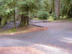 Sol Duc Loop B Site 60