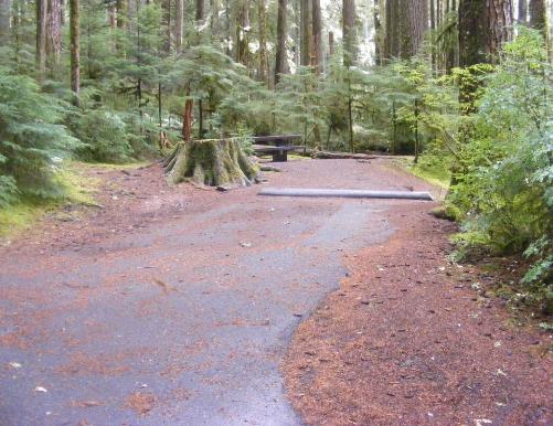 Sol Duc Loop B Site 61