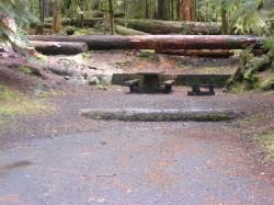 Sol Duc Loop B Site 63