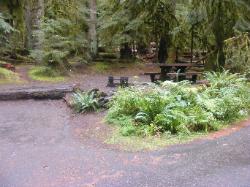 Sol Duc Loop B Site 64