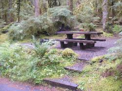 Sol Duc Loop B Site 64