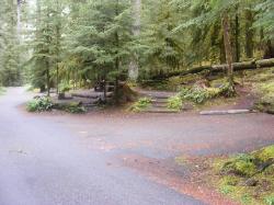 Sol Duc Loop B Site 65