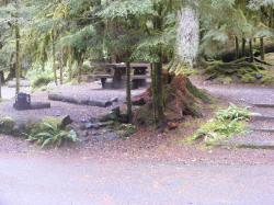 Sol Duc Loop B Site 65