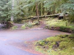 Sol Duc Loop B Site 65