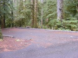 Sol Duc Loop B Site 66