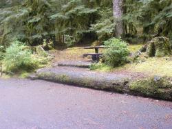 Sol Duc Loop B Site 67