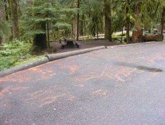 Sol Duc Loop B Site 68
