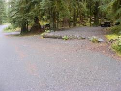 Sol Duc Loop B Site 69