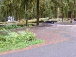 Sol Duc Loop B Site 70