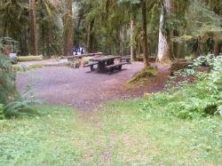 Sol Duc Loop B Site 71