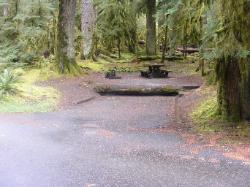 Sol Duc Loop B Site 71