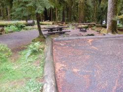 Sol Duc Loop B Site 72