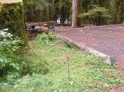 Sol Duc Loop B Site 72