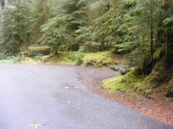 Sol Duc Loop B Site 73