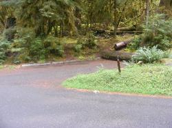 Sol Duc Loop B Site 74