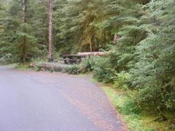 Sol Duc Loop B Site 75