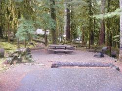 Sol Duc Loop B Site 76