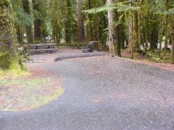 Sol Duc Loop B Site 76