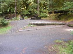 Sol Duc Loop B Site 77