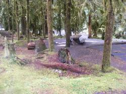 Sol Duc Loop B Site 78