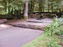 Sol Duc Loop B Site 79