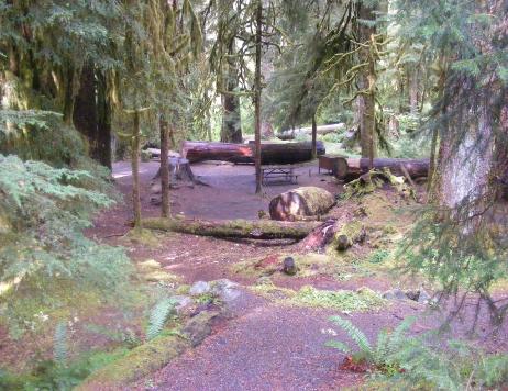 Sol Duc Loop B Walk-In Sites
