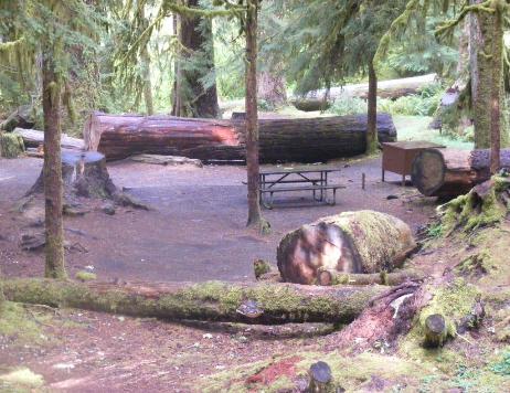 Sol Duc Loop B Walk-In Sites