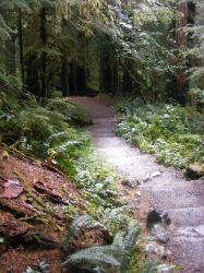Sol Duc Trail Images