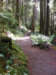 Sol Duc Trail Images