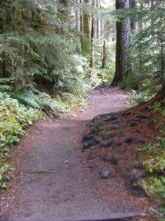 Sol Duc Trail Images