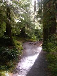 Sol Duc Trail Images