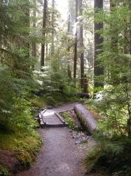 Sol Duc Trail Images