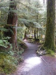 Sol Duc Trail Images