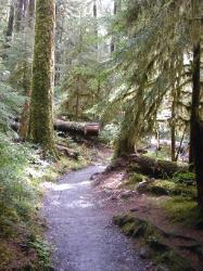 Sol Duc Trail Images