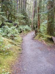 Sol Duc Trail Images