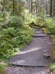 Sol Duc Trail Images