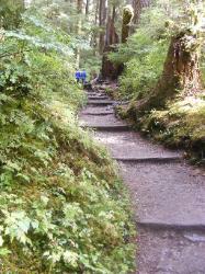 Sol Duc Trail Images