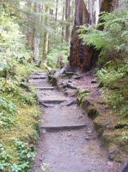 Sol Duc Trail Images