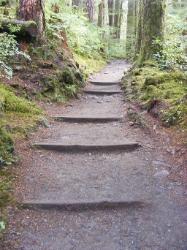 Sol Duc Trail Images