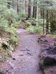 Sol Duc Trail Images