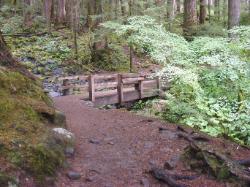Sol Duc Trail Images