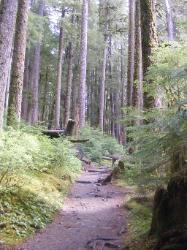 Sol Duc Trail Images