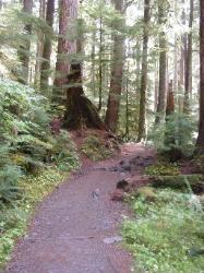 Sol Duc Trail Images