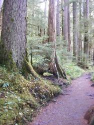 Sol Duc Trail Images